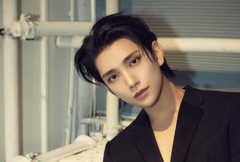 Seventeen's Joshua faces continued malicious comments amid dating rumors