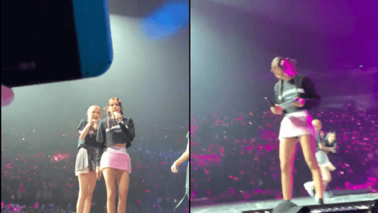 BLACKPINK's Lisa goes viral for her hilarious interaction with a Blink's Nintendo Switch at Melbourne Concert