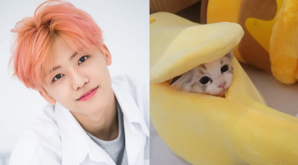 "My Luna", NCT's Jaemin opens an Instagram account for his cat