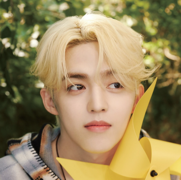 SEVENTEEN's S.Coups donates 50 million won for abandoned animals
